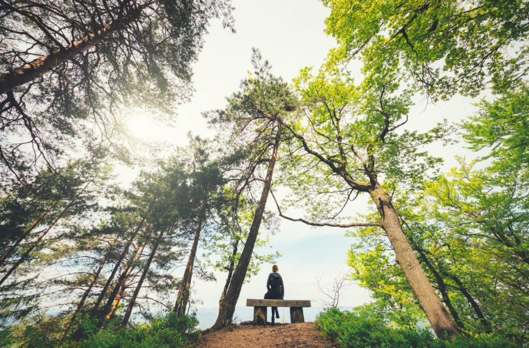 5 Simple Mindfulness Exercises to Reduce Stress Today